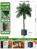 Grande Palmeira Areca Simulada Planta Tropical Coqueiro Planta Verde Biônica de Interior Árvore Falsa Atmosfera Paisagismo Ornamentos em Vaso
