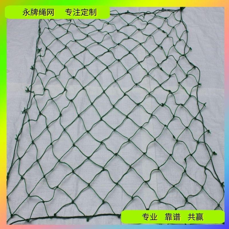 3mm翠绿网1-1