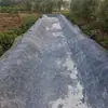 Fabricante de Tapete de Cimento: Tapete de Fibra Curado com Água para Proteção de Taludes de Tanques de Peixe e Impermeabilização de Canais de Rios