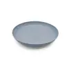Venta Caliente Transfronteriza Celebridad de Internet Venta Caliente Hogar Ecológico Plástico Paja de Trigo Bistec Almuerzo Picnic Plato Portátil