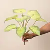 Hojas de Begonia artificiales, Hojas de Monstera, Filodendro colgante, plantas verdes decorativas para paisajismo, escenografía para sala de transmisión en vivo, hojas verdes de bonsái, decoración del hogar