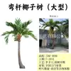 Provincia de Quang Ninh, Vietnam, Condado de Yuntun, Proyecto, Palmera Artificial Marina, Cocotero, Caso de Ingeniería Municipal, Árbol Artificial Grande Falso