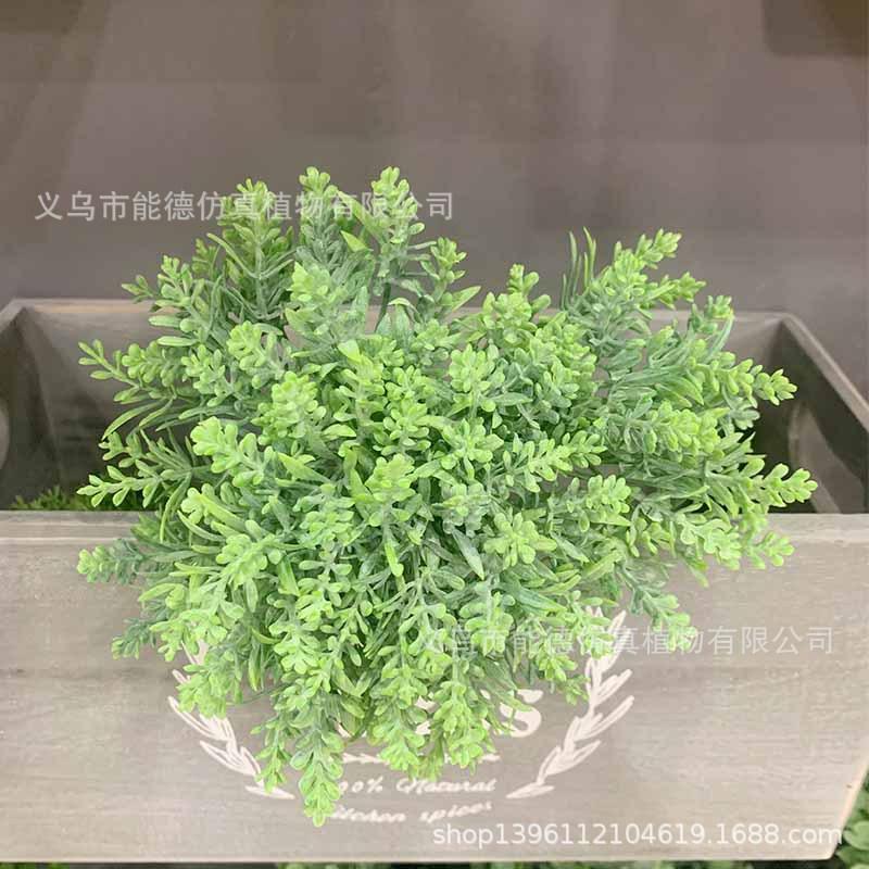 未标题-43