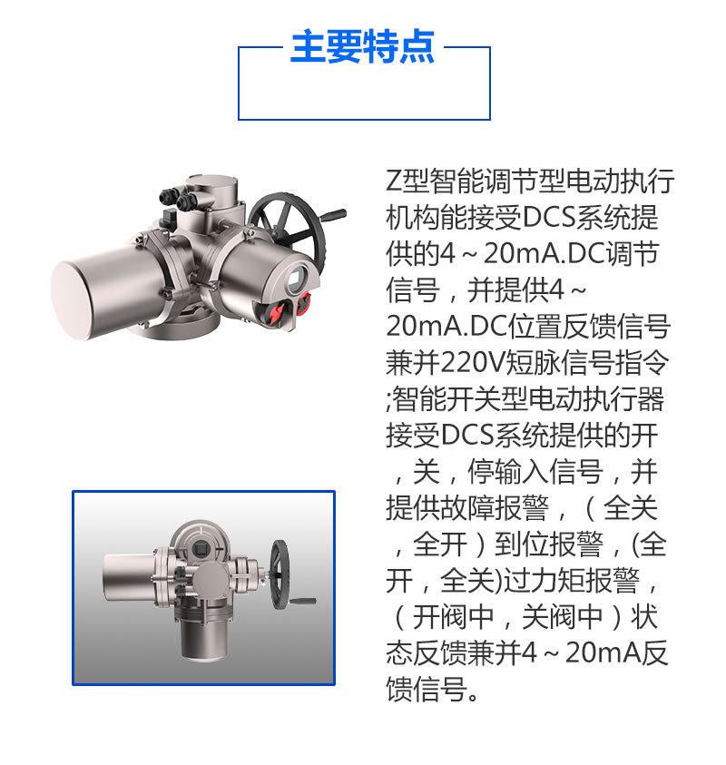 DZW-B齿-详情页_02.jpg