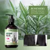 Sadoer Menta Romero Champú Fuerte y Voluminoso Todo en Inglés Comercio Exterior Transfronterizo Venta al por Mayor