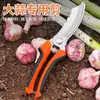 Tijeras para Ajo, Tijeras de Jardinería, Herramientas Manuales para Ramas de Flores, Jardín Agrícola, Tijeras Multiespecificación para Verduras, Frutas, Ajo y Cebolla