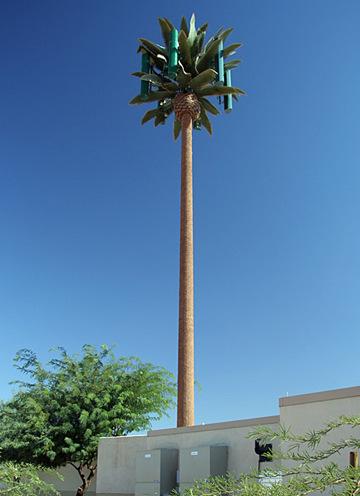 palm_towers
