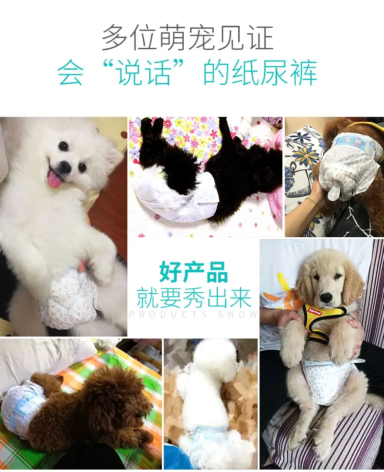 图片_31