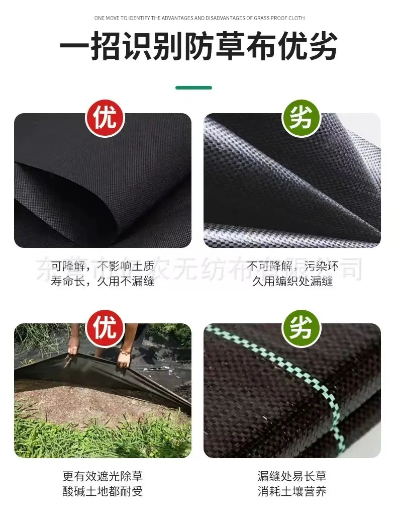 a6f4320bd807a0ea3c86b4c1cc24bb