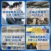 Fornecer gluconato de sódio de grau alimentício agente retentor de água agente quelante grande quantidade Congyou