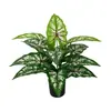 Fabricante de Plantas Verdes Artificiales, Hojas de Calathea, Plantas de Hojas de Colores, Plantas Verdes en Maceta de Piso, Árboles Artificiales, Decoración de Interiores para el Hogar, Suministro Transfronterizo