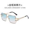2025 Nuevas Gafas de Sol Retro Europeas y Americanas de Doble Puente con Caja Moda para Hombre Gafas de Sol con Cabeza de Leopardo Trendy para Mujer Venta al por Mayor Transfronteriza