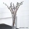 Algodão de Xinjiang Flores Secas Luxo Eterno Buquê Real Pinhões Naturais Secos ao Ar Kit de Material DIY Ornamentos Decorativos Estilo Ins