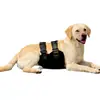 Pantalones Fisiológicos Ajustables para Mascotas, Resistentes a la Suciedad y Duraderos, Anti-Acoso para Perros Macho durante su Período de Celo, Cinturón de Cortesía para Perros Pequeños y Medianos, Pantalones de Entrenamiento