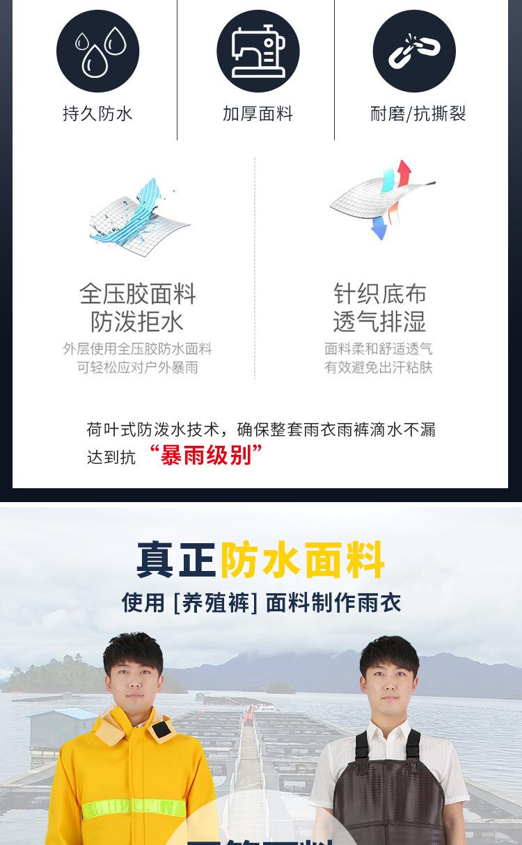 黄款加标_05