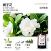 Refil de umidificador com óleo essencial para aromaterapia, qualidade hoteleira, aroma de gardênia, para uso doméstico e interno, fragrância duradoura, perfume para banheiro