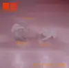 Aspa de Ventilador Eléctrico 504Y2A2.3A, Aspa de Ventilador de Turbina 50, Piezas de Electrodomésticos Pequeños, Componentes de Fabricación Pequeños