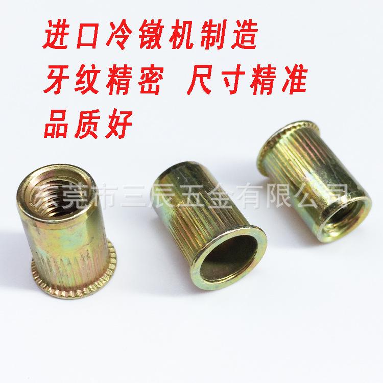 小头竖纹3.jpg