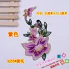 Nuevos Accesorios para Ropa Ópera Bordado Étnico Pegatina de Tela Mariposa Parche Calcomanía Flor Peonía 4555# Hot Dipping