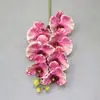 Flor Artificial Phalaenopsis Souvenir Película de Impresión 3D Alta Calidad Phalaenopsis Rizado Estilo Decorativo Exquisito Boda