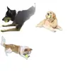 Pelota de Juguete para Perro Resistente a Mordidas Cachorro Pelota para Exterior Perro Grande Caballo Perro Molar Mascota Pelota de Entrenamiento para Perro