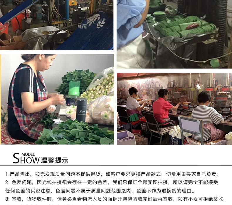 橄榄枝_14.jpg