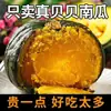 Calabaza Bebé Sabor Castaña Shouguang Auténtica Calabaza Bebé Castaña 2.5kg Calabaza Vieja Verduras Frescas Huihe