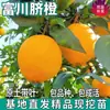 Plántulas de Naranja Navel Fuchuan de una Pieza para Envío Directo, para Plantas en Maceta de Patio Norteño y Sureño, para Plantar en Todas las Estaciones, y Plántulas de Naranja Dulce Injertadas