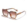 Gafas de Sol con Sombra Exterior de Color Gradiente Polygonal Transfronterizo Rain, Estilo Europeo y Americano, Esenciales para Fotografía Callejera y Combinación de Atuendos