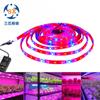 Barra de luz LED de bajo voltaje para crecimiento de plantas de interior 5050 DC12V 5 m 3 Rojo 1 Azul 4 Rojo 1 Azul 5 Rojo 1 Azul