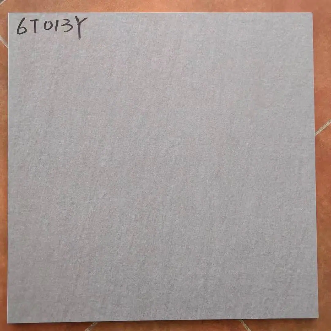 6T013Y