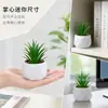 Em estoque simulação carnuda pequena sabgrass vaso desktop pequenos ornamentos presente mini bonsai verde TEMU simulação planta