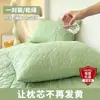 Fronha de travesseiro com óleo para cabeça anti-baba, fronha acolchoada anti-suor, individual para casa, um par de fronhas completas 48cmx74cm