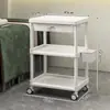 Carrinho de Armazenamento para Salão de Beleza, Rack de Armazenamento de Instrumentos Móvel, Carrinho de Chão Multicamadas com Rodas, Rack de Armazenamento Silencioso