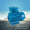 Motor asíncrono trifásico a prueba de explosiones serie YB3 YBX3-160M-4 11KW suministro a velocidad de rayo
