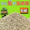 Cama de mazorca de maíz comestible para hámsteres, hámsteres dorados y pollos rutinarios, adecuada para el verano, cama granular floral desodorante para mascotas de uso general