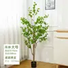 Planta Verde Artificial en Maceta Estilo Nórdico Árbol de Eucalipto Planta Artificial Grande Adorno Decoración de Interior Árbol de Hojas de Dinero Bonsái