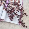Ventas de fábrica flor artificial flor artificial color otoño mini estrella hogar suave flor artificial estilo europeo jazmín de invierno