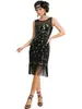 Vestido de lentejuelas y flecos de pavo real estilo Gatsby de los años 20 Vestido Retro para Actuación en Escenario Vestido Europeo y Americano para Fiesta y Banquete