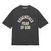 Essentials Zone Camiseta Clássica de Manga Curta Estilo Campus Masculina e Feminina Nevoeiro