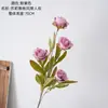 Sulia Viento Nocturno Amante Rosa INS Decoración del Hogar Transfronterizo Boda Artesanías al por Mayor Flores Artificiales Flores de Simulación Fabricante