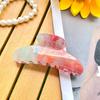 Pinza para el Cabello de Lujo Ligero Estilo Coreano que Cambia de Color, Pinza de Garra Grande de Color Dopamina, Color Gelatina con Acabado de Alta Gama, Pasador para la Parte Posterior de la Cabeza, Pinza de Tiburón