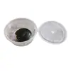 Caixa Transportadora Portátil de Plástico para Animais de Estimação, Aquário para Peixe Dourado, Caixa para Tartaruga, Caixa para Répteis, Transportador Portátil à Prova de Vazamento para Tartarugas