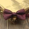 Gravata Borboleta Masculina Cor Coreana Casual Noivo Casamento Feminina Borboleta Vermelho Escuro Listrada Distintiva Cor Curry Flor Verde
