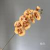 8 Cabezas de Orquídeas Phalaenopsis para Decoración de Boda, Arreglo Floral para la Habitación de Boda, Orquídeas Phalaenopsis Morandi