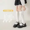 Calcetines largos para niños, calcetines largos blancos estilo princesa para otoño, calcetines sin costuras con borde de encaje para niñas, colección de primavera y otoño, con detalles de lazo y cinta