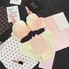 Conjunto de sujetador y bragas de encaje color macarrón conjunto de sujetador lencería sexy fruncida para mujer al por mayor