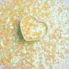Lantejoulas Pequenas de Concha Lantejoulas Coloridas Lantejoulas Decorativas Artesanais DIY Enchimento de Cola Lantejoulas para Decoração de Unhas Maquiagem para Olhos