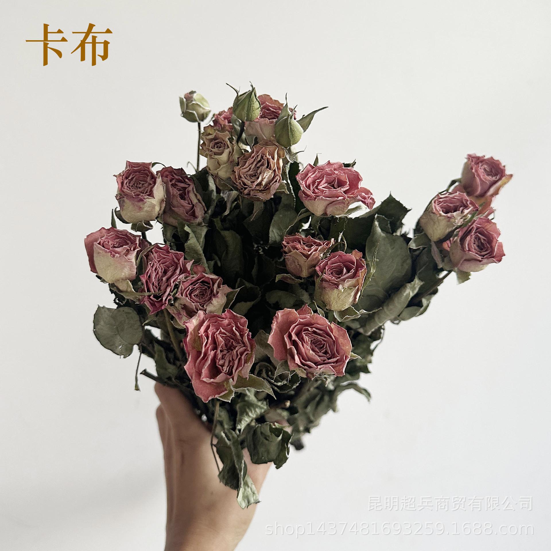 微信图片_20240906111303.jpg