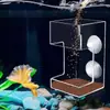 Anillo de alimentación automática para acuarios, anillo flotante para evitar que el alimento para peces y el alimento para tortugas se dispersen, anillo de alimentación automática para peces pequeños